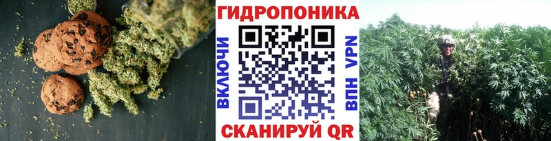 Cannafood марихуана  купить  цена  ссылка на мегу зеркало  Таруса 