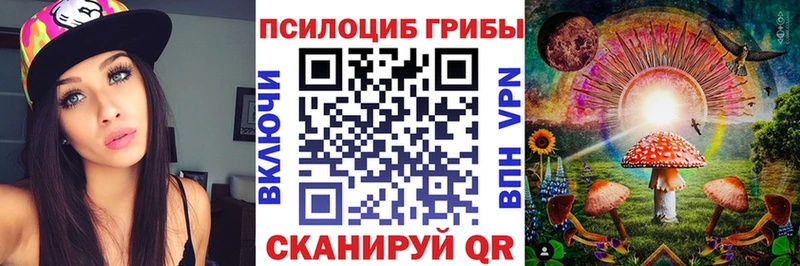 Галлюциногенные грибы Psilocybine cubensis  как найти наркотики  Таруса 